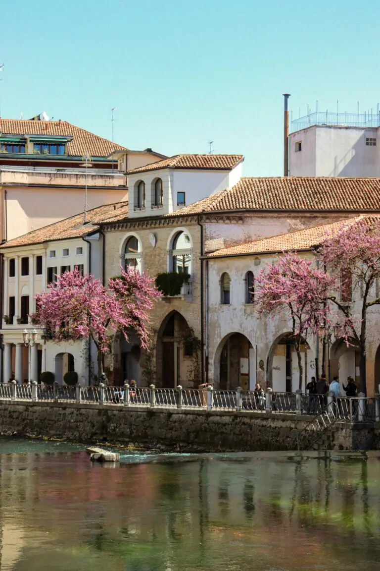 Blossoming trees and arcaded houses along the river in Treviso