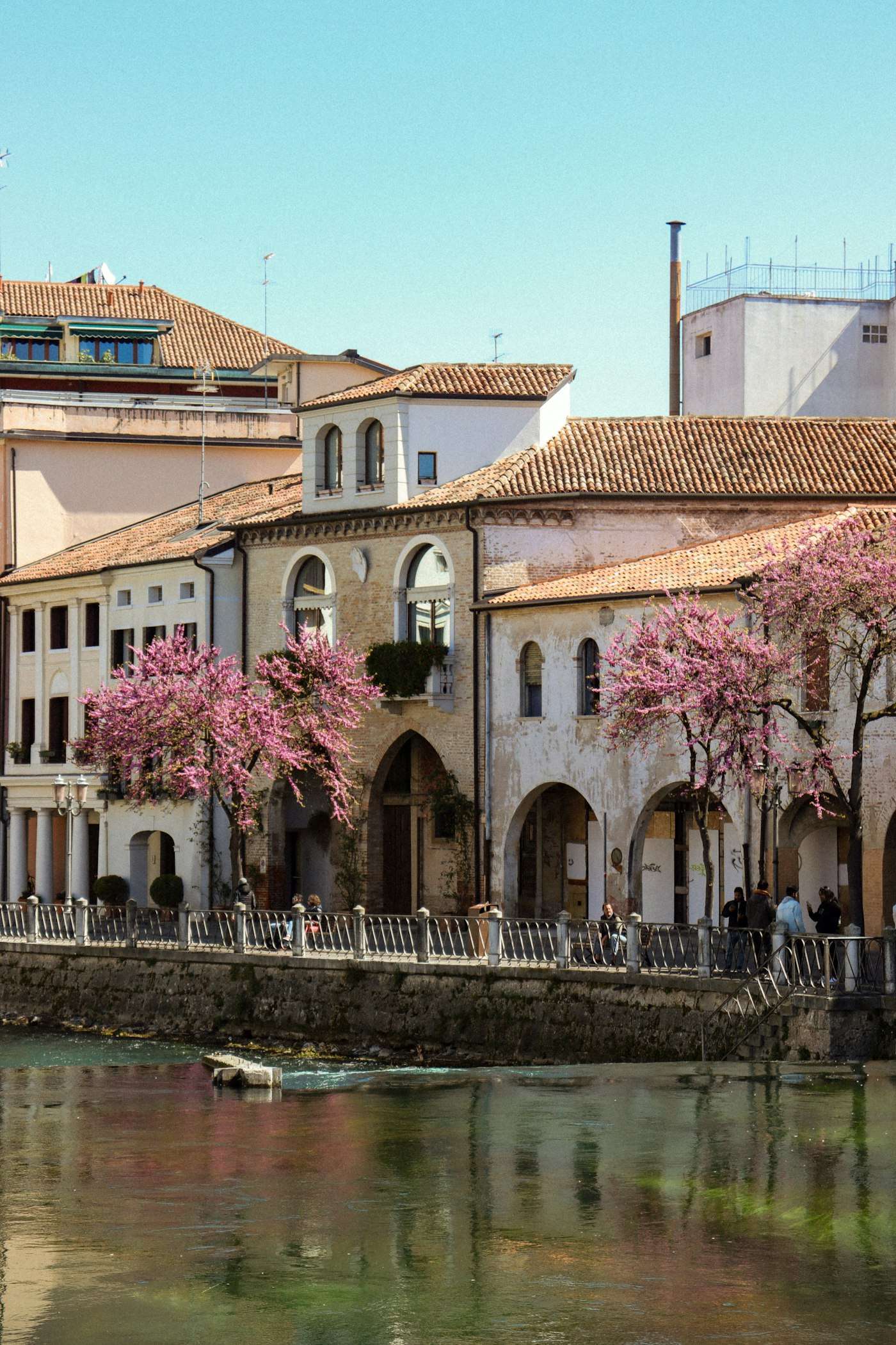 Blossoming trees and arcaded houses along the river in Treviso